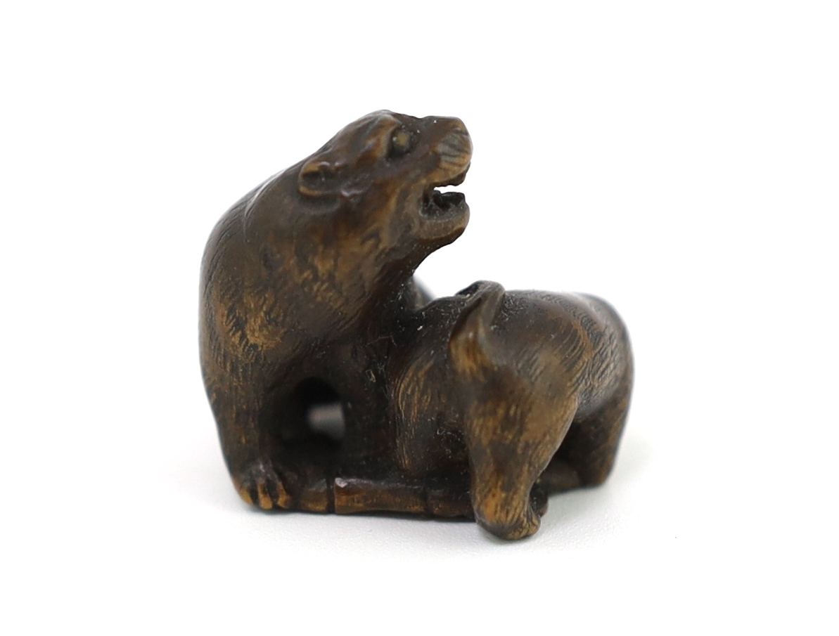 A Japanese carved wood netsuke of a tiger and cub, 19th century